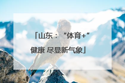 山东：“体育+”健康 尽显新气象